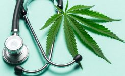 Office of Medical Marijuana Use Issues Update on THC Limits in Florida