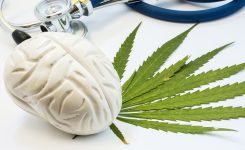 Can Cannabis Be Addictive? A Brief Overview of Cannabis Use Disorder